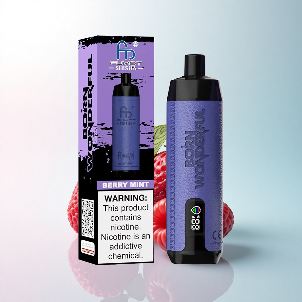 RandM Fumot Shisha 10000 Puffs Beerenminze mit 18ml Liquid und 850 mAh