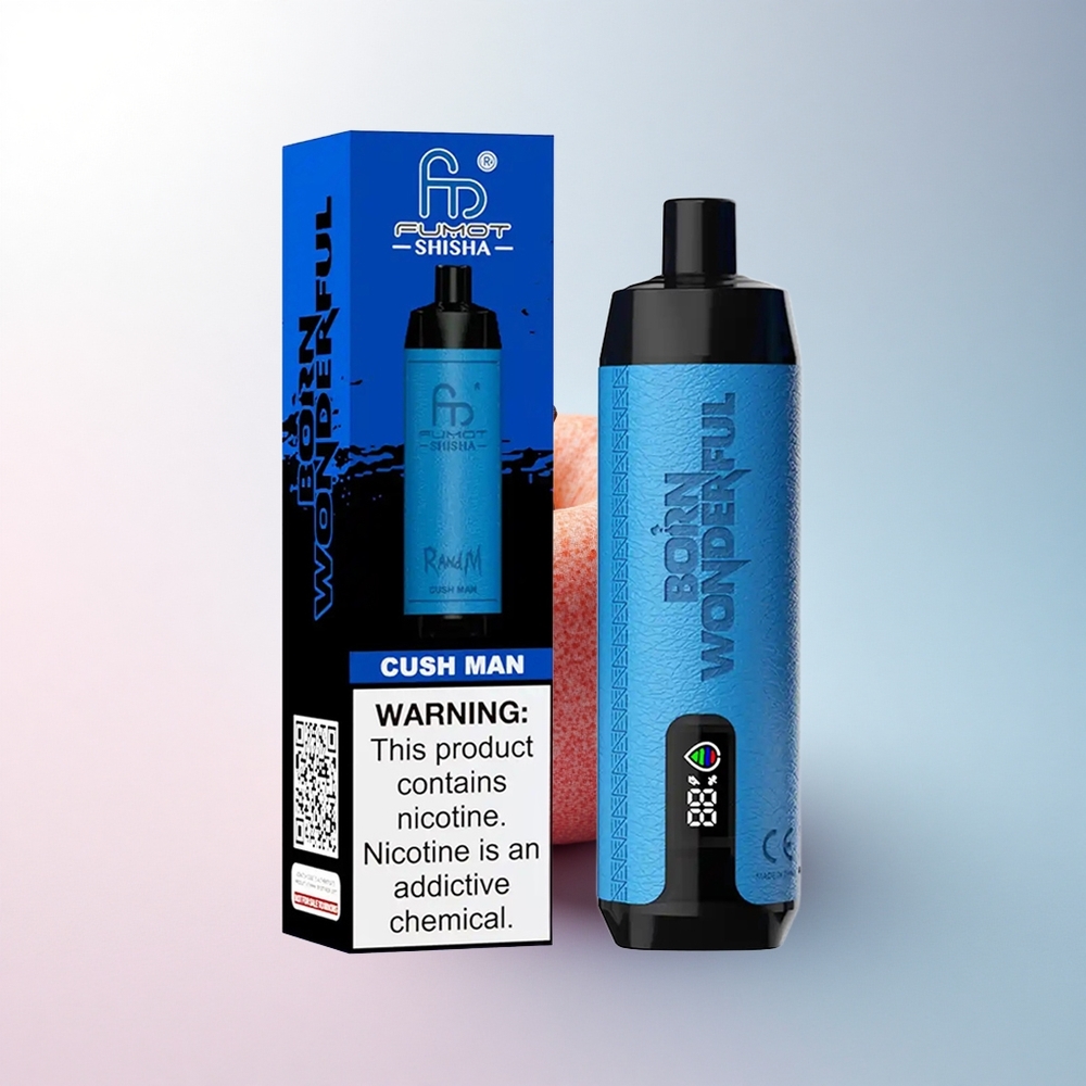 RandM Fumot Shisha 10000 Puffs Cush Mann mit LED-Anzeige und 850 mAh