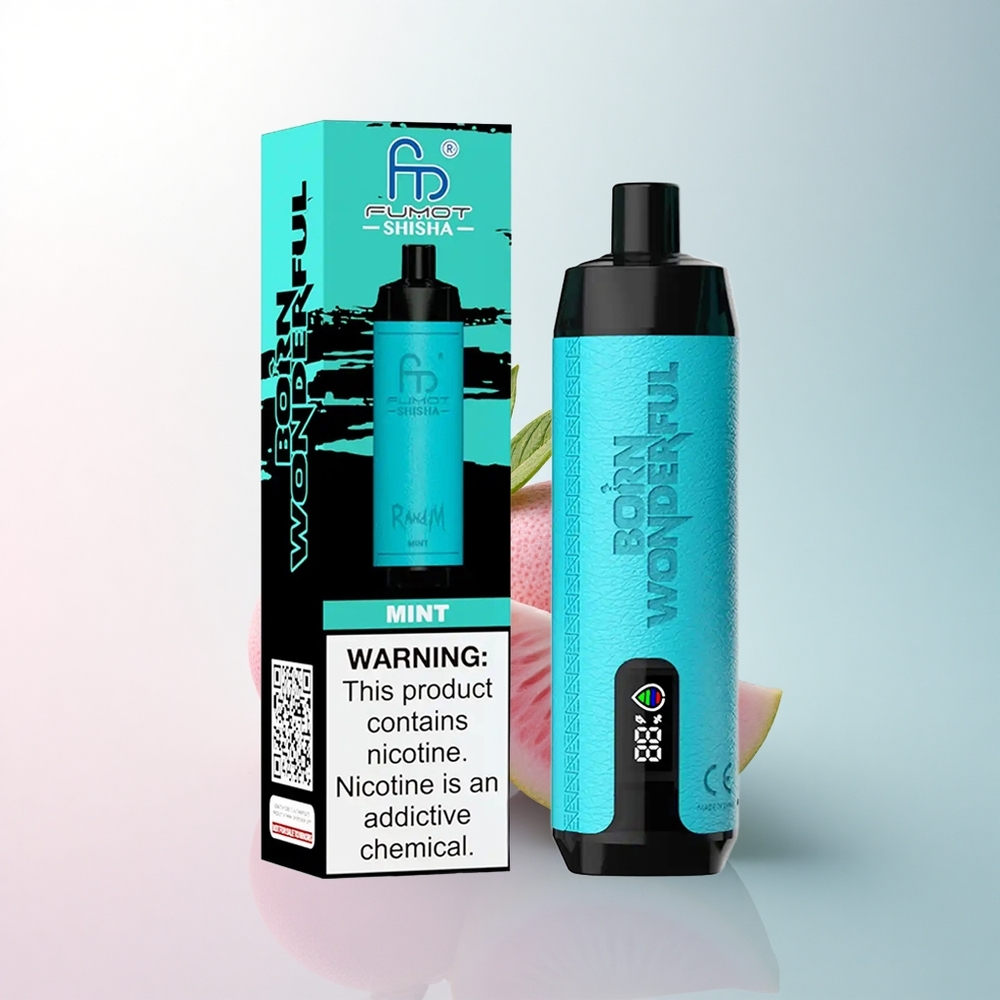 RandM Fumot Shisha 10000 Puffs Minze LED Typ-C 850 mAh