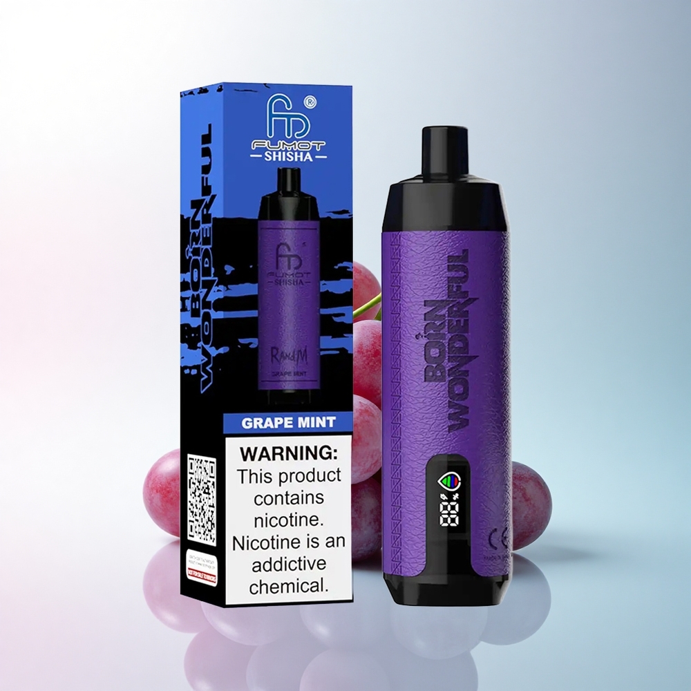 RandM Fumot Shisha 10000 Puffs Traubenminze mit Typ-C und 0,5% Nikotin