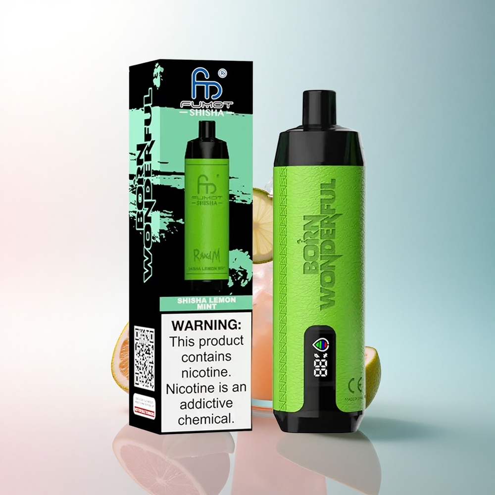 RandM Fumot Shisha 10000 Puffs Zitronenminze Shisha mit 18ml Liquid und 850 mAh
