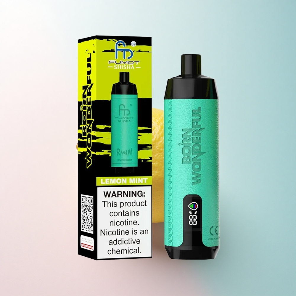 RandM Fumot Shisha 10000 Puffs Zitronenminze mit 0,5% Nikotin und 850 mAh
