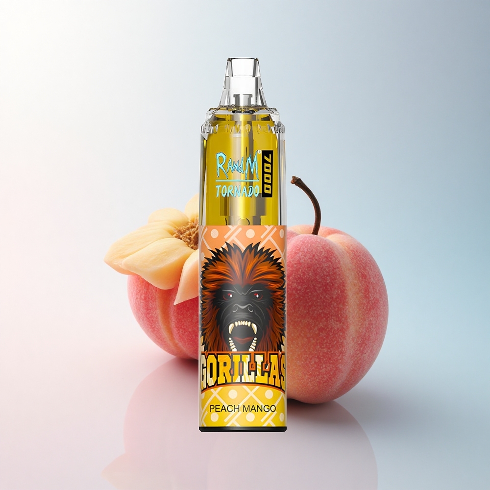 RandM Fumot Tornado 7000 Puffs Pfirsich-Mango Typ-C 850mAh Netzspule